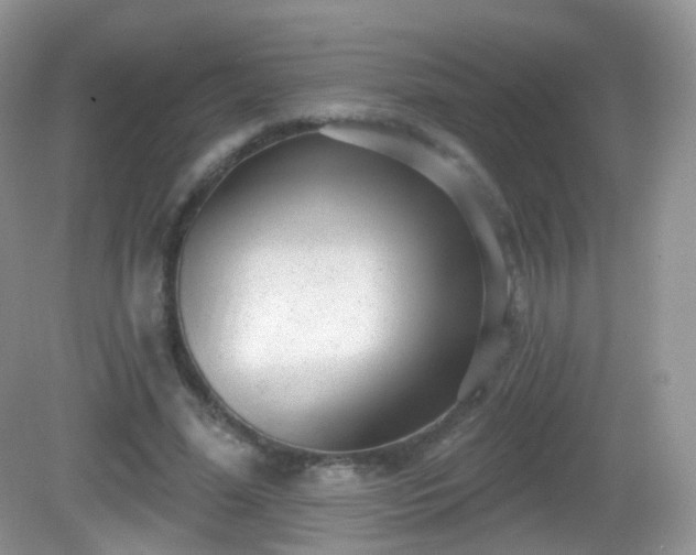 X0000082680588200702021229
