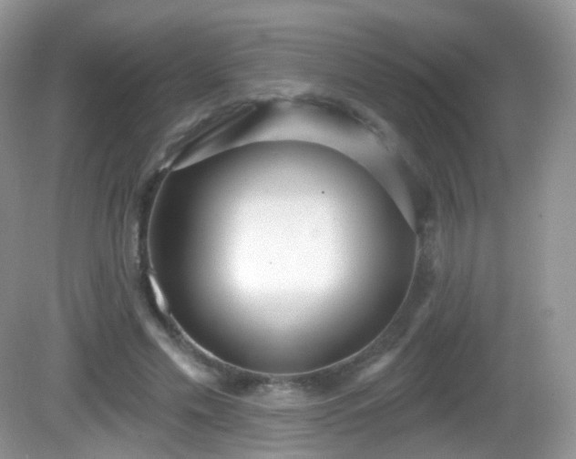X0000082680589200702021229