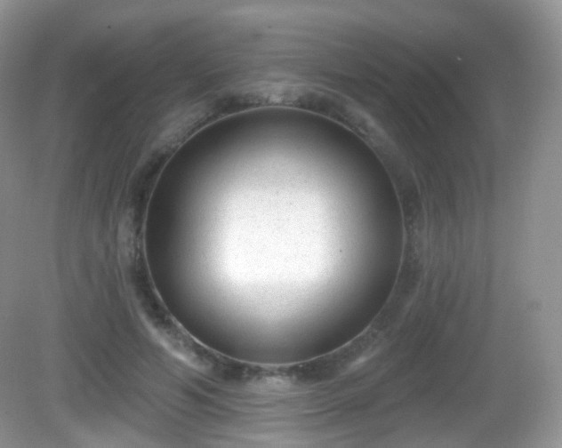X0000082680594200702021229