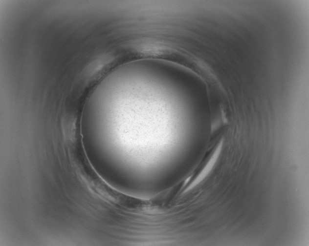 X0000082680596200702021228
