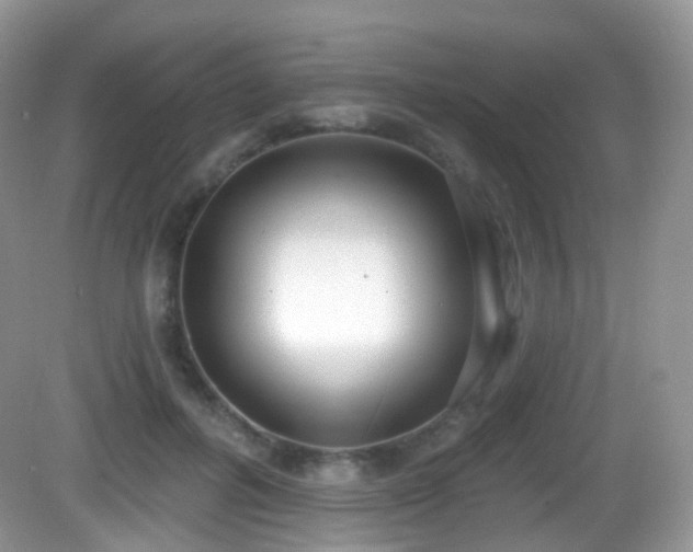 X0000082680600200702021228