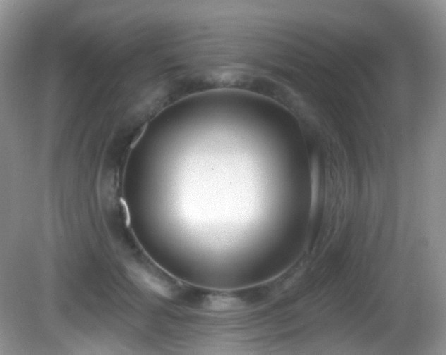 X0000082680605200702021228