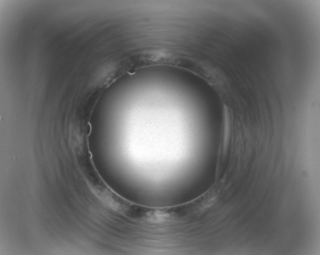 X0000082680607200702021228