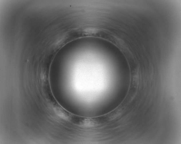 X0000082680608200702021228