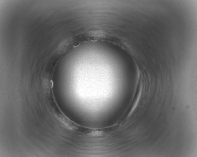 X0000082680609200702021228