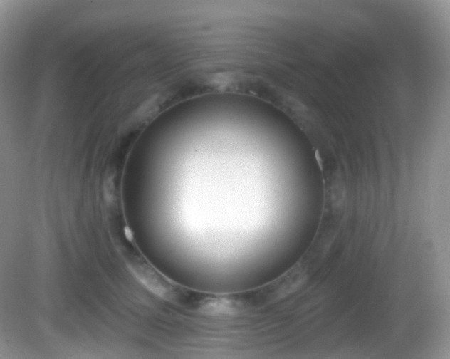 X0000082680611200702021228