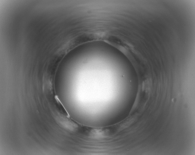X0000082680613200702021228