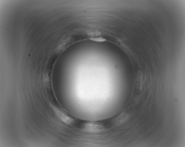 X0000082680614200702021228