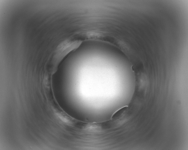 X0000082680619200702021228