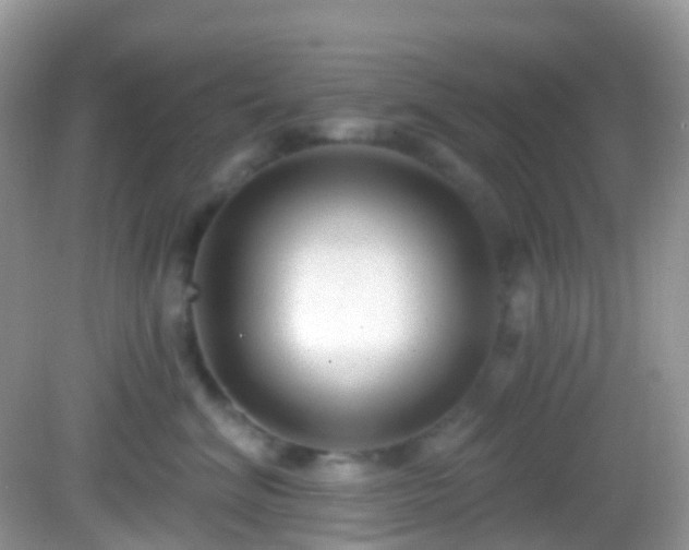 X0000082680620200702021228