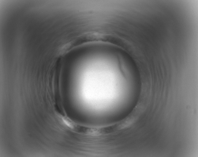 X0000082680624200702021228