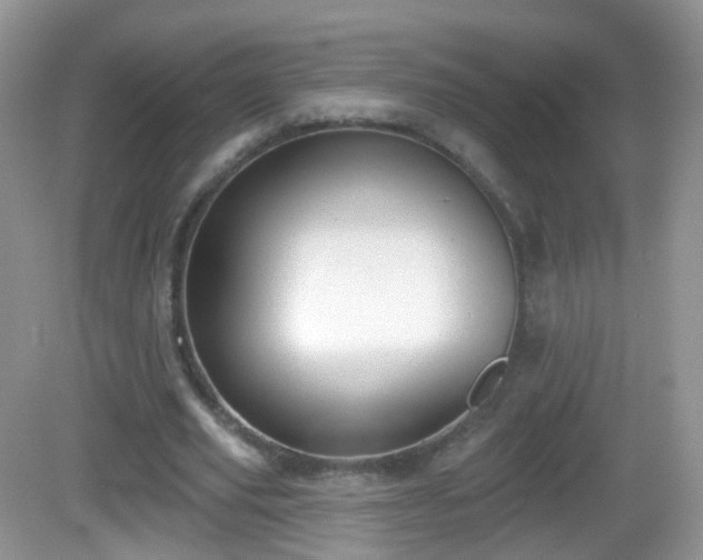 X0000082680629200702021227