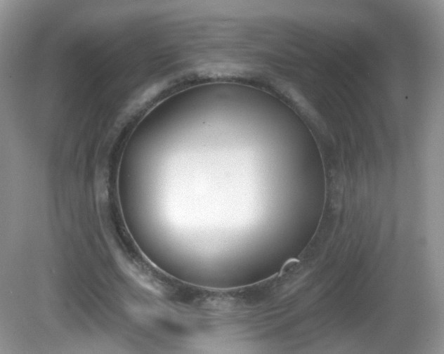 X0000082680631200702021227