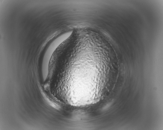 X0000082680634200702021227
