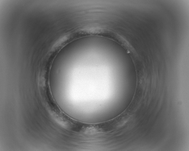 X0000082680635200702021227