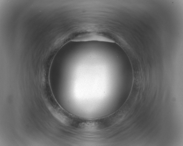 X0000082680639200702021227
