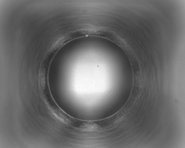 X0000082680642200702021227