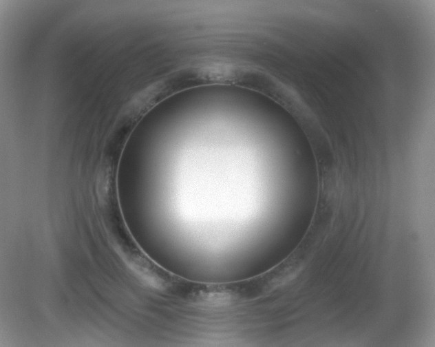 X0000082680645200702021228