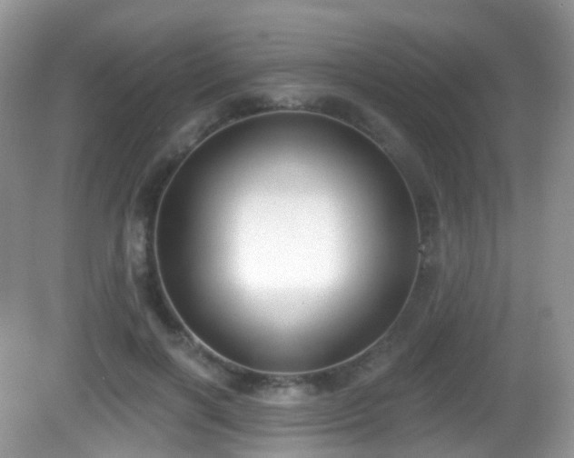 X0000082680646200702021228
