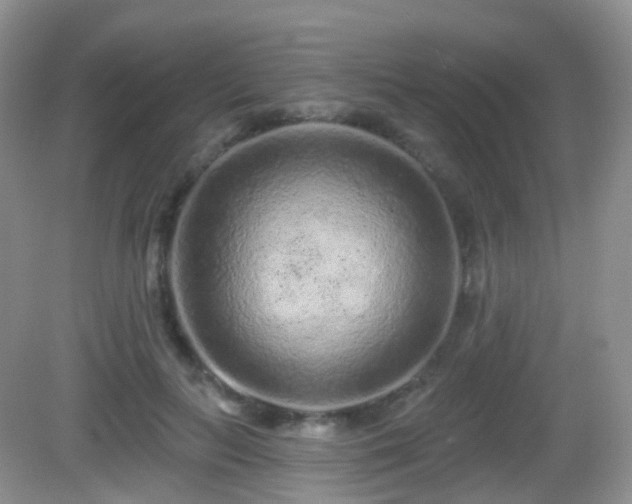 X0000082680647200702021228