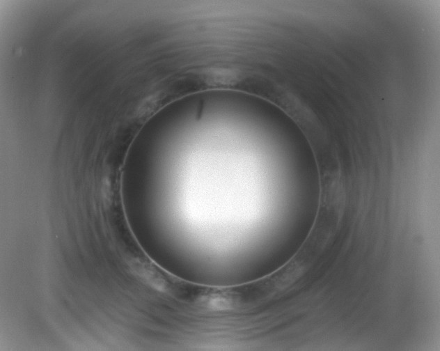 X0000082680655200702021228