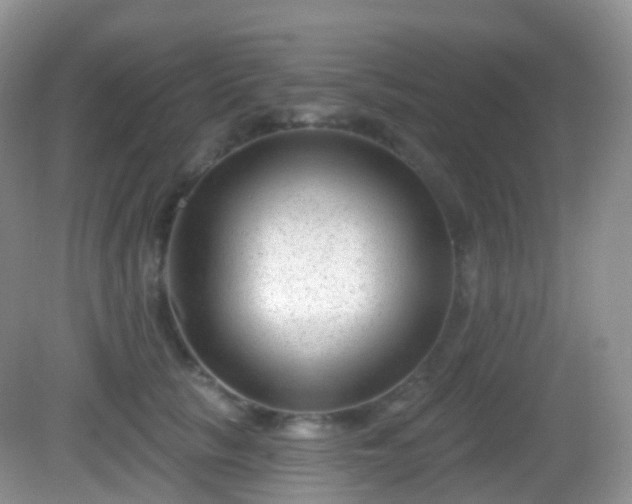 X0000082680657200702021228