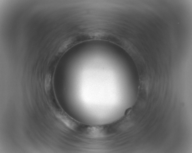 X0000082680660200702021228