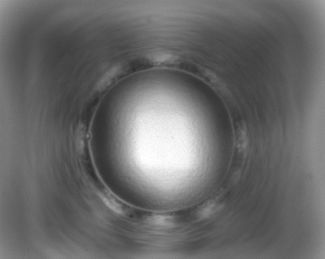 X0000082680664200702021228