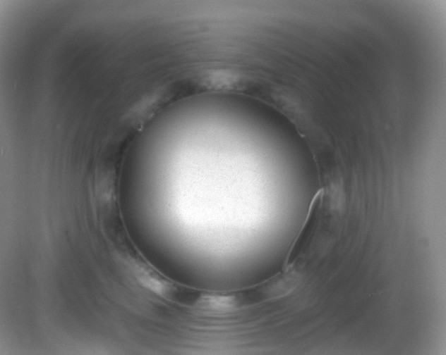 X0000082680665200702021228