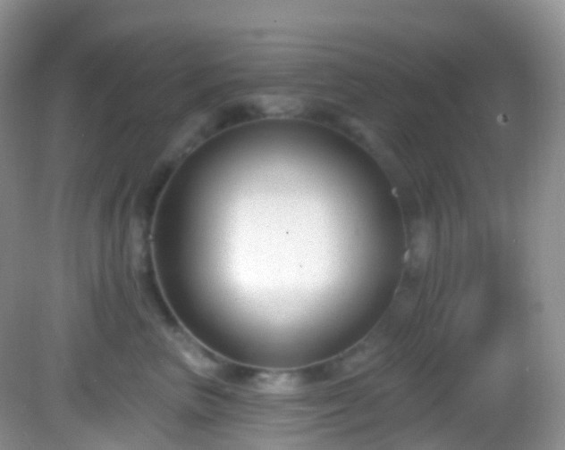 X0000082680667200702021228