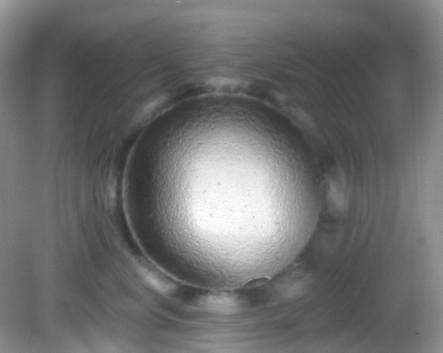 X0000082680668200702021228
