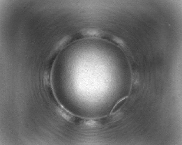 X0000082680669200702021228