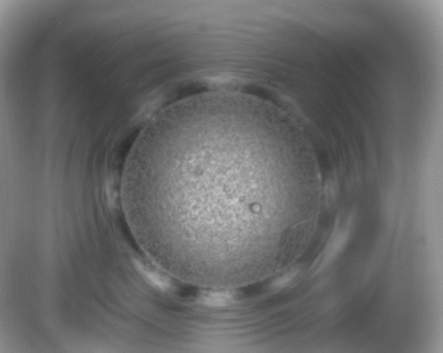 X0000082680671200702021228