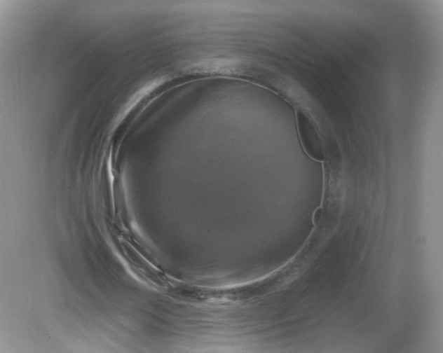 X0000082680674200702021227