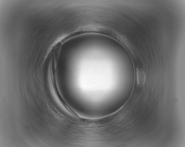 X0000082680675200702021227
