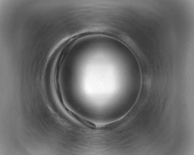 X0000082680676200702021227
