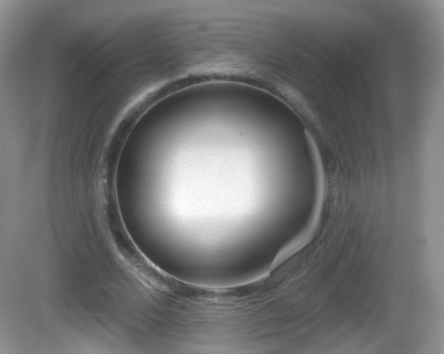 X0000082680680200702021227