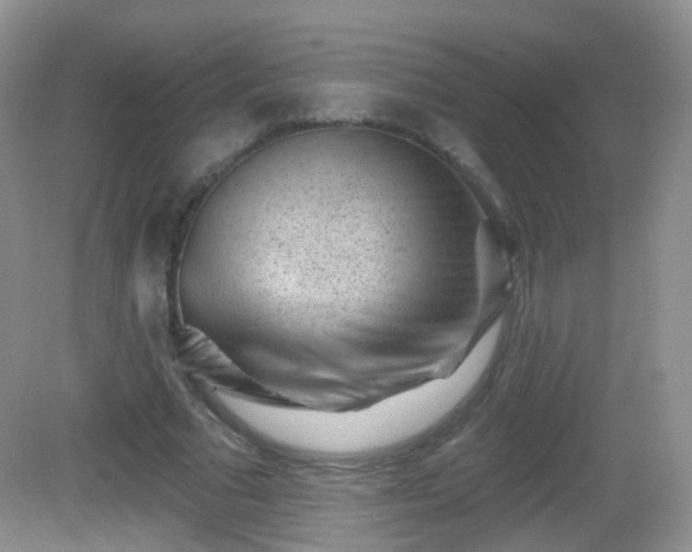 X0000082680681200702021227