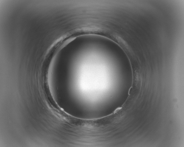 X0000082680684200702021227
