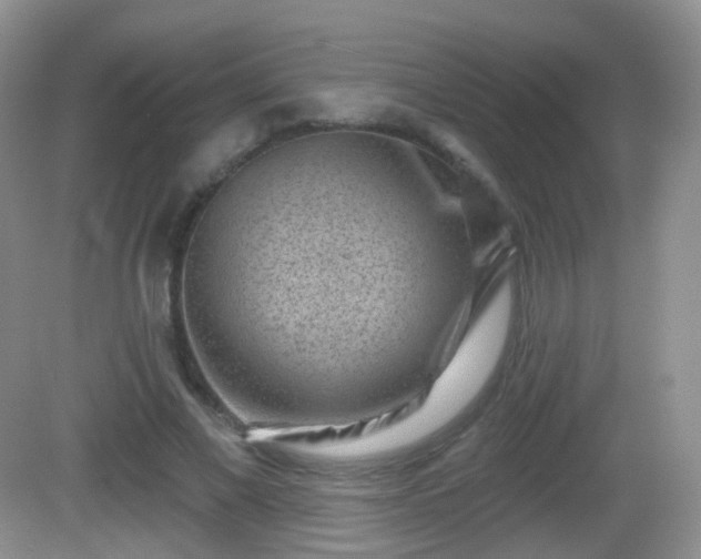 X0000082680685200702021227