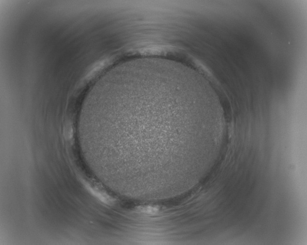 X0000082680687200702021227
