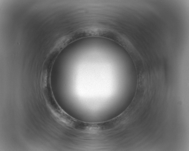 X0000082680694200702021227