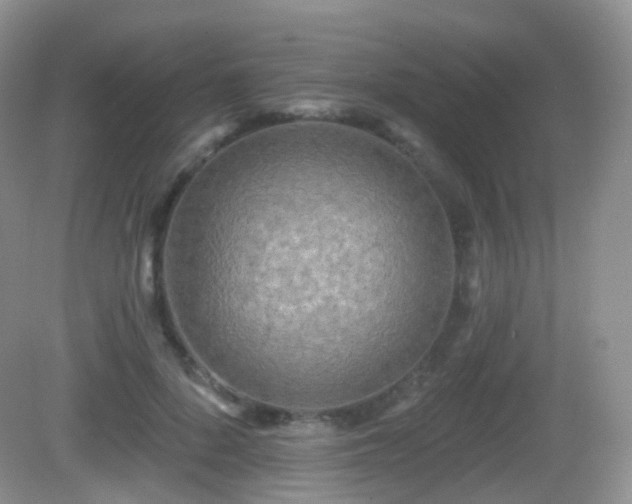 X0000082680696200702021227