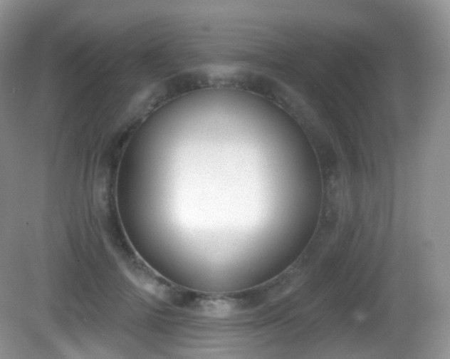 X0000082680698200702021227