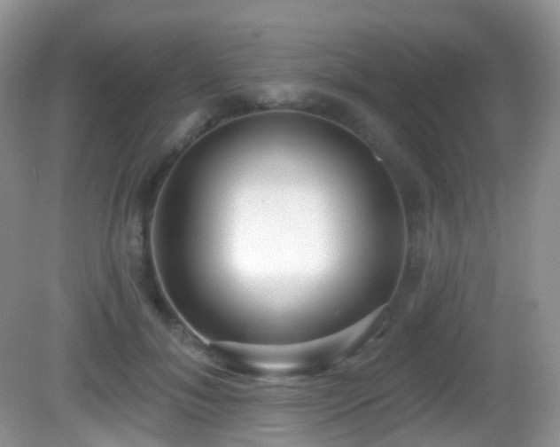 X0000082680700200702021227