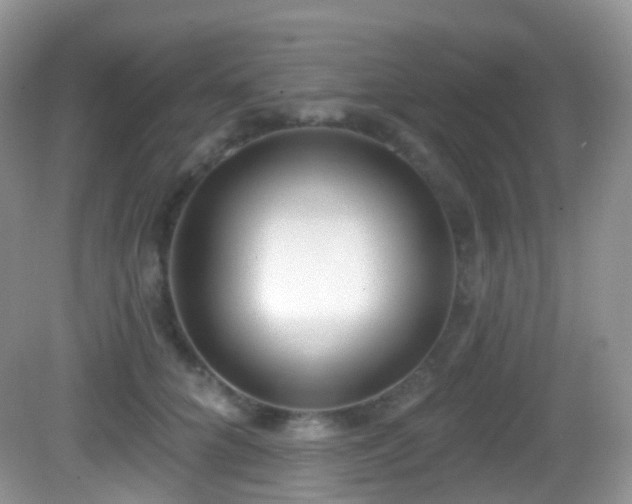 X0000082680704200702021227