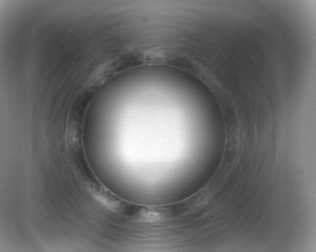 X0000082680706200702021227