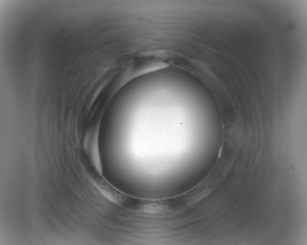 X0000082680708200702021227