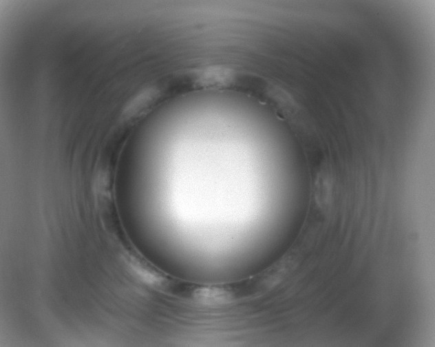 X0000082680714200702021226
