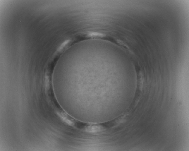 X0000082680716200702021226